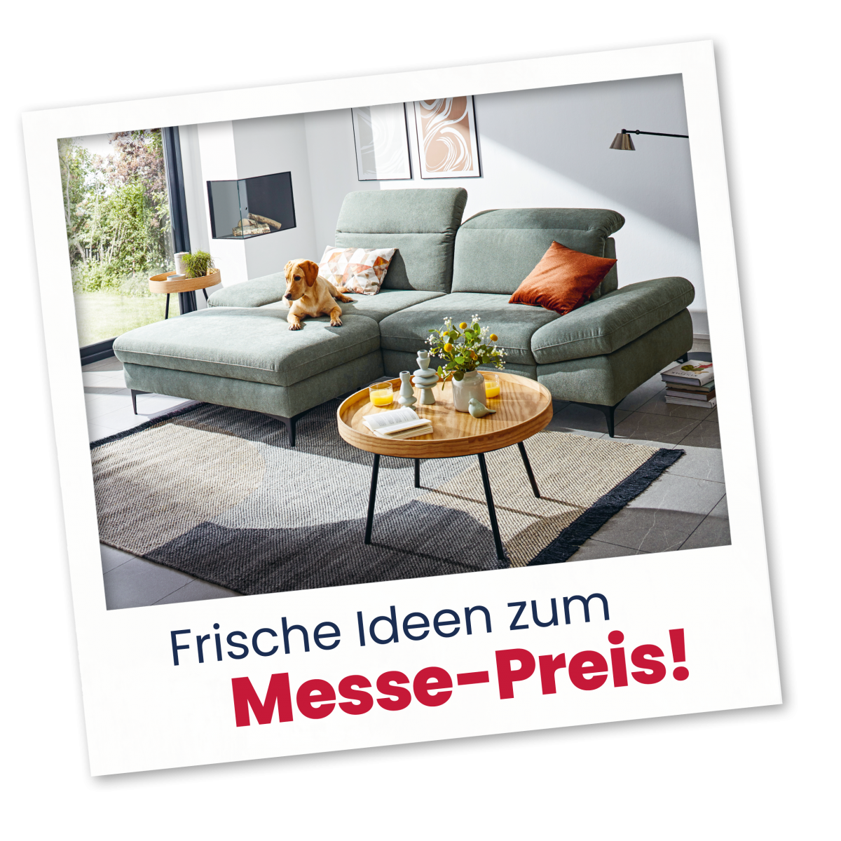22 03 Homa Hausmesse MP Image Box 600x600 11